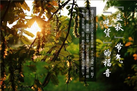 馍小皮