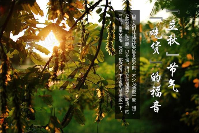 馍小皮