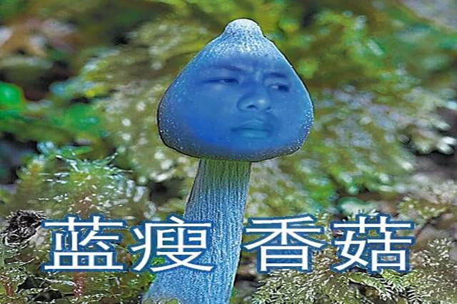 210058b3363ypwz39vpyu3